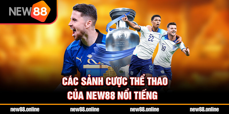 Các sảnh cược thể thao của NEW88 nổi tiếng