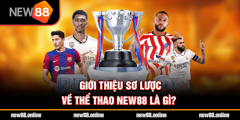 Giới thiệu sơ lược về thể thao NEW88 là gì?